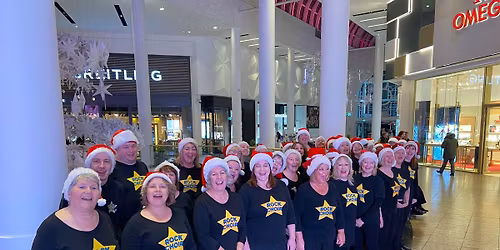 Yorkshire Wildlife Park Winter Illuminations 