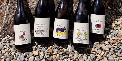 Sicilian Wine Tasting Long Weekend!