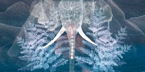 Gooral - Pozna\u0144 - live promuj\u0105cy p\u0142yt\u0119 Sound Spa - ecstatic dance