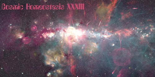 Cosmic Homeostasis XXXIII