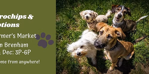 Brenham Farmer's Market- FREE adoptions & microchips 