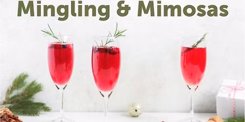 Mingling & Mimosas