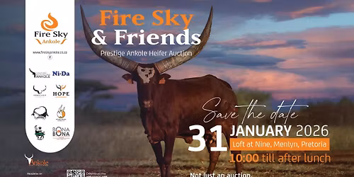 Fire Sky & Friends - Prestige Ankole Heifer Auction