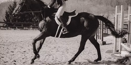 WCF VHSA Hunter Show - July 25