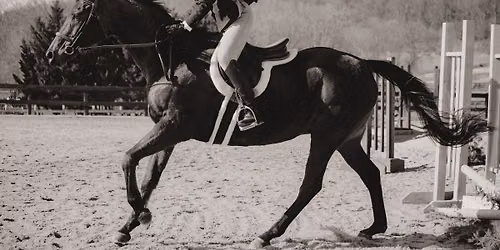 WCF VHSA Hunter Show - July 25
