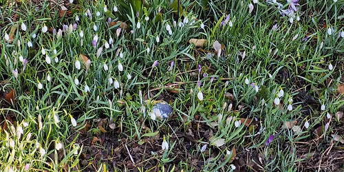 East Preston Festival Spring Fayre 