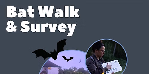 Bat Walk & Survey along the River Wandle