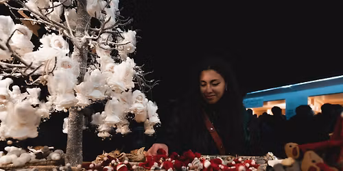 Panorama Christkindlmarkt Hungerburg