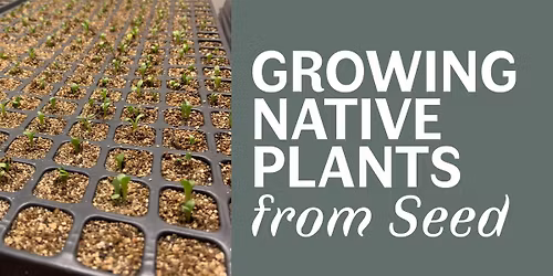 Growing Native Plants from Seed