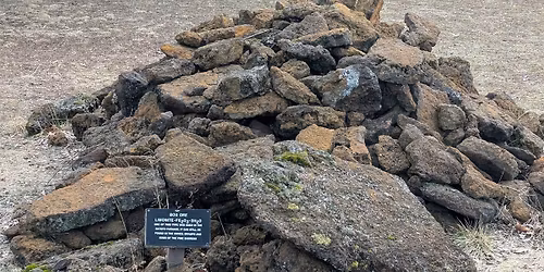 Bays, Glaciers, and Bog Iron in the Pines  