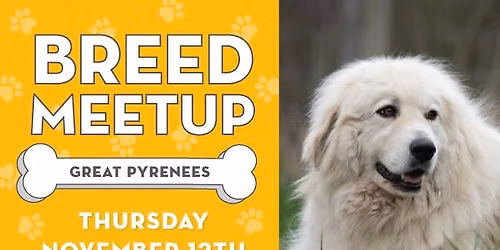 Breed Meetup: Great Pyrenees
