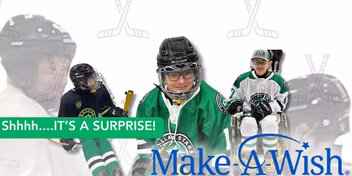 Hunter's SURPRISE Wish Celebration Party! 