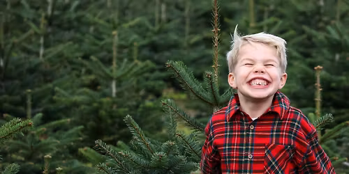 Christmas Tree Photoshoot - Booking Essential