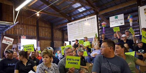 Green Lake County Fair Livestock Auction