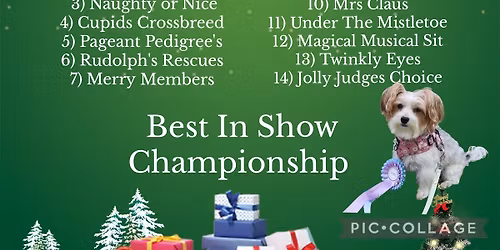 Foxash Indoor Christmas Fun Dog Show 