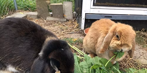 Ostern im Gl\u00fcck