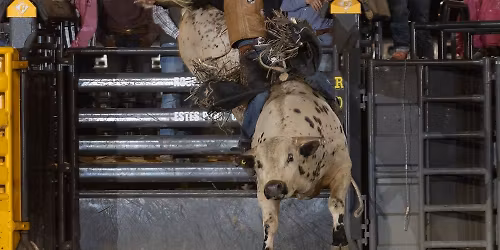 Rooftop Rodeo at Estes Park Events Complex