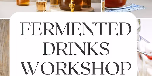 Fermented Drinks Workshop 