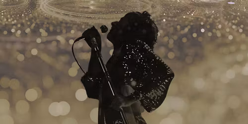 The UK Rod Stewart Show