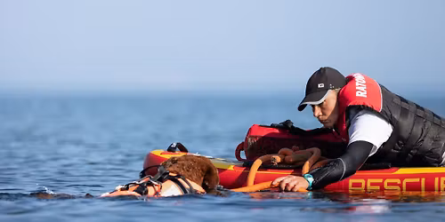 WATER CAMP - Sportowe Ratownictwo Wodne wg. regulaminu IRO i praca wodna