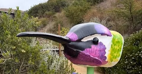 Channel Islands Carvers Woodcarving Show