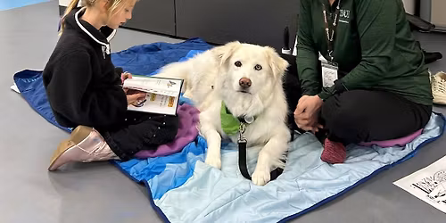 "Read with Me": Read to SOUL Harbour Ranch therapy dogs at Crystal Lake Public Library!