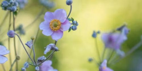 GL\u00dcCKSURLAUB - Tanz und Wandern