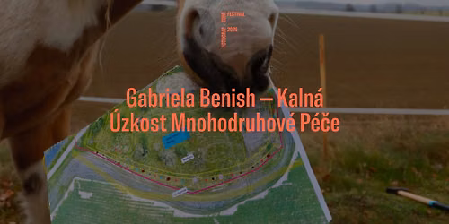 Gabriela Benish-Kaln\u00e1: \u00dazkost mnohodruhov\u00e9 p\u00e9\u010de