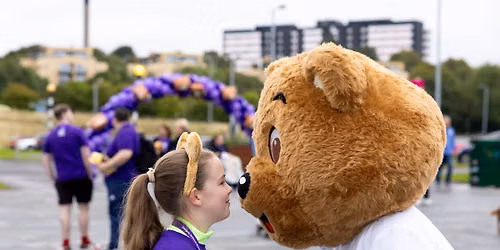Kami Bear's Teddy Trail