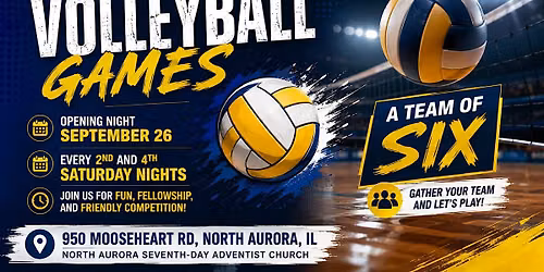 Volleyball Games
