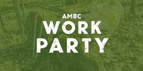 Work Party - Marie Myers