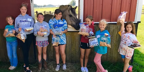 Baking & Horses for ages 7-14, Friday, Aug. 21st, 2026