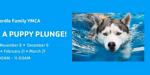 Puppy Plunge