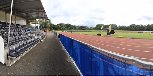 The Hive Hustle - The Bumblebee Run (2pm start)