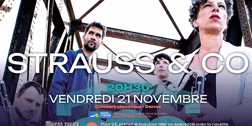 Strauss & Co - Quatuor anches hant\u00e9es | Musique classique & danse hip-hop