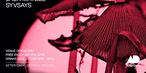 After Dark Presents....LACEY (2hr Vinyl Set) - House & Disco