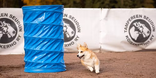 TamSKin hoopers-epikset 4.12.2025