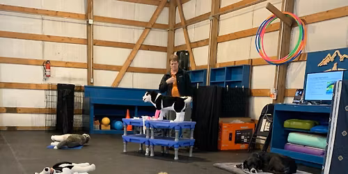 Be Your Pet's First Responder: RECOVER Pet Rescuer CPR and Pet First Aid