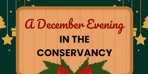 A December Evening in the Conservancy