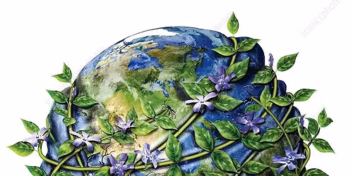 Conservation Conversations