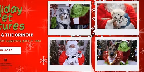 Holiday Pet Pictures