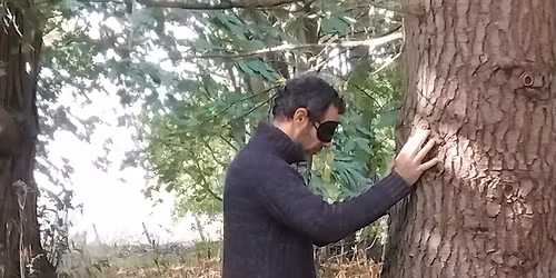 Mindfullness in Nature