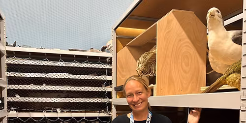 Caring for our Taonga with Curator Severine Hannam 