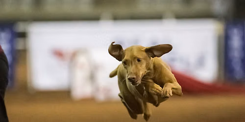 CWVC AKC Trial July 31st - Aug 2nd