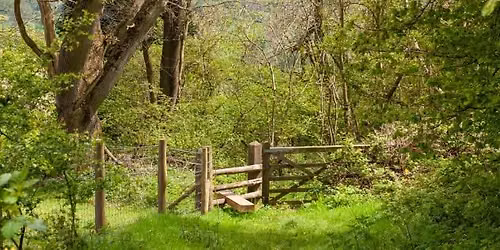 Whiteleaf Hill - BMC London and South East Social Walk