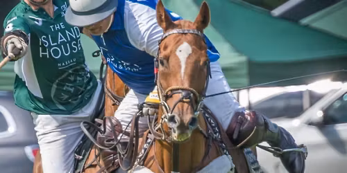 Bethpage Polo at the Park - June 14th, 2026