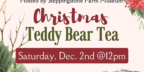 Teddy Bear Tea at Rialto Square Theatre
