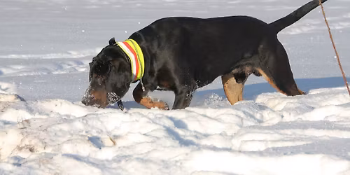 praca w\u0119chowa po skandynawsku - warsztaty z Paul\u0105 Rzewusk\u0105 - Pozna\u0144