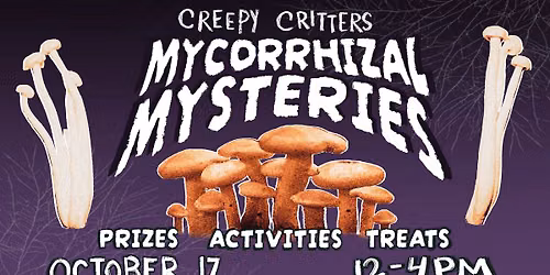 Mycorrhizal Mysteries