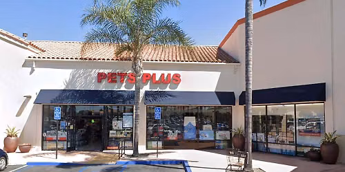 San Clemente - Dog dental cleaning